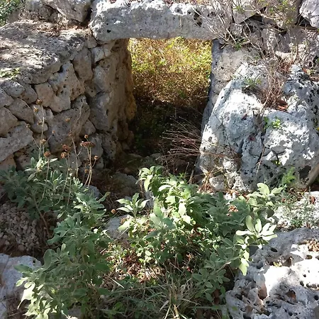 Nonna Maria 37 Corsano (Apulia)